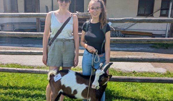 Noch jung, aber schon stattlich: Tauernschecken-Bock „Anderl“ darf ab kommenden Herbst für neuen Zicklein-Nachwuchs am Burghang sorgen. Darüber freuen sich Umweltamtleiterin Sarah Freudlsperger (l.) und FÖJ-lerin Annalena Wallner
