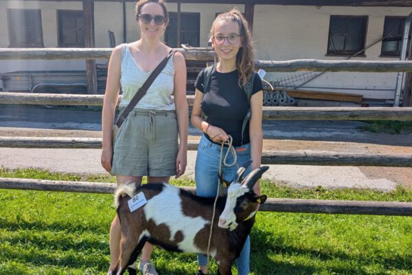 20250813_neuer_Bock_Freudlsperger_Wallner_1 Noch jung, aber schon stattlich: Tauernschecken-Bock „Anderl“ darf ab kommenden Herbst für neuen Zicklein-Nachwuchs am Burghang sorgen. Darüber freuen sich Umweltamtleiterin Sarah Freudlsperger (l.) und FÖJ-lerin Annalena Wallner