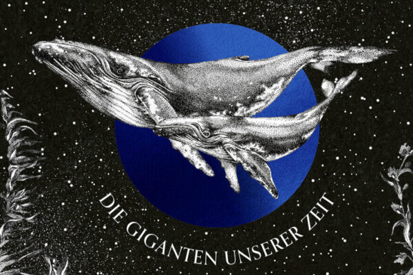 Faszination_Wale_2D_Web-1019x1536