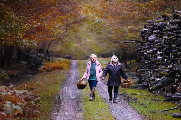 Wenn der Herbst naht © Diaphana Distribution Wenn der Herbst naht © Diaphana Distribution