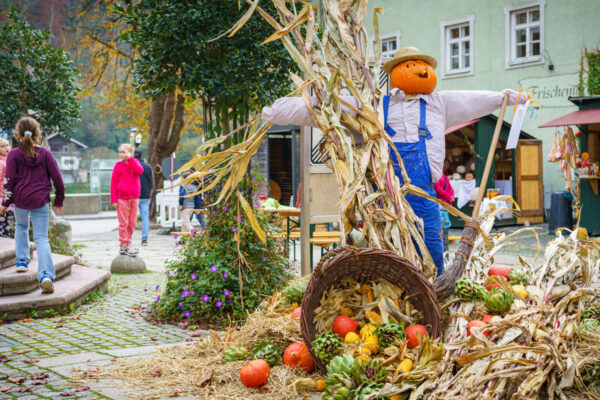 Musik, Crêpes und eine Kaffeerösterei gibt es am Bichl in den Grüben. Fotocredit: Burghauer Touristik Musik, Crêpes und eine Kaffeerösterei gibt es am Bichl in den Grüben. Fotocredit: Burghauer Touristik