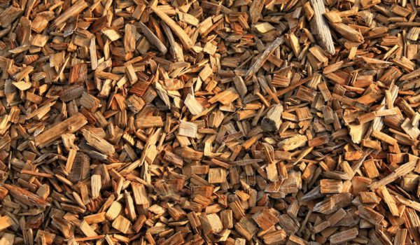 2019-10-21-Häckselaktion Hächsel