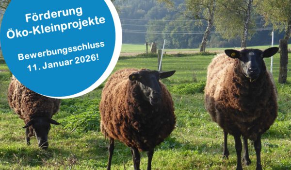 Bei der Öko-Kleinprojekte-Förderung winken bis zu 10.000 Euro Zuschuss. Foto: ©OEMR Inn-Salzach Bei der Öko-Kleinprojekte-Förderung winken bis zu 10.000 Euro Zuschuss. Foto: ©OEMR Inn-Salzach