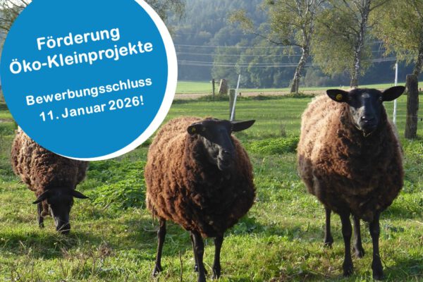 Bei der Öko-Kleinprojekte-Förderung winken bis zu 10.000 Euro Zuschuss. Foto: ©OEMR Inn-Salzach