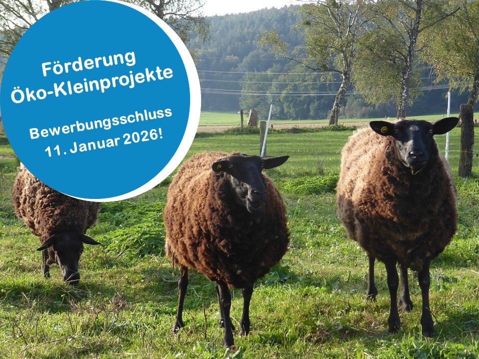 Bei der Öko Kleinprojekte Förderung winken bis zu 10 000 Euro Zuschuss  Foto: ©OEMR Inn Salzach