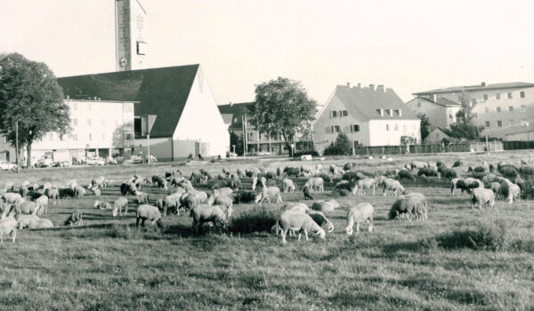 © Haus der Fotografie Burghausen