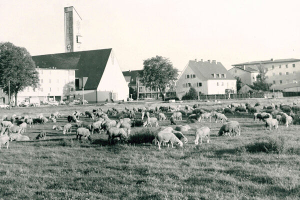 © Haus der Fotografie Burghausen © Haus der Fotografie Burghausen