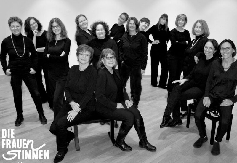 DIE FRAUEN STIMMEN 2024 mit logo