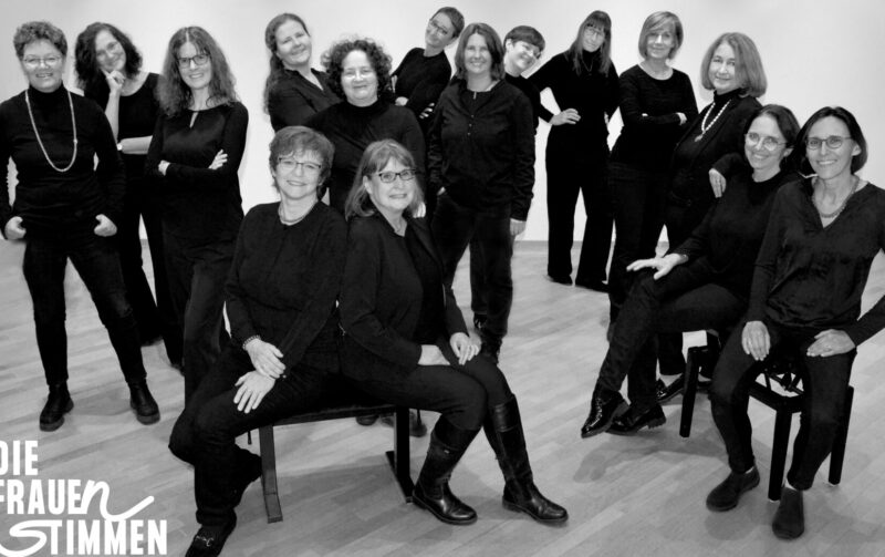 DIE FRAUEN STIMMEN 2024 mit logo