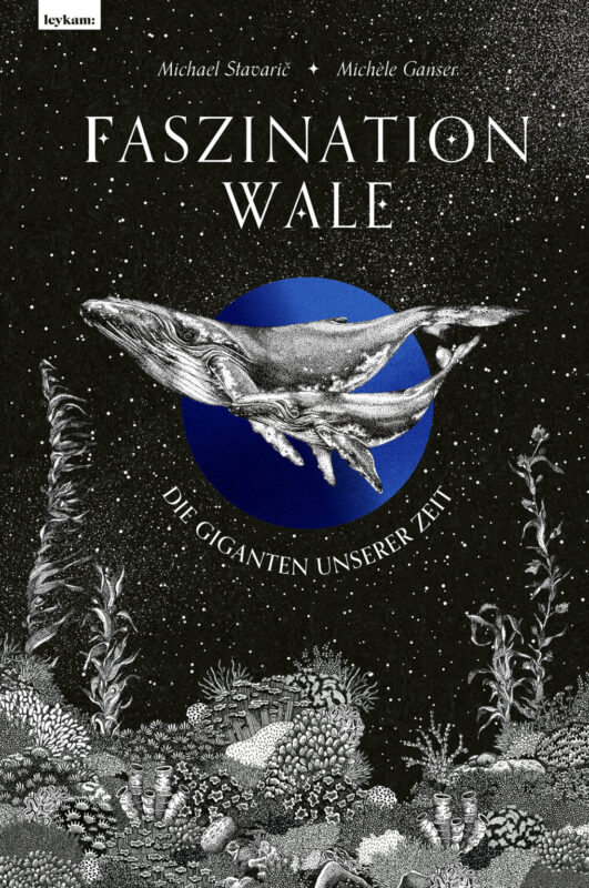 Faszination Wale 2d Web 1