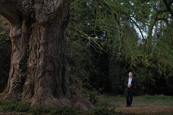 Silent friend © Pandora