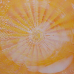 01 20251023 Orange Weiß