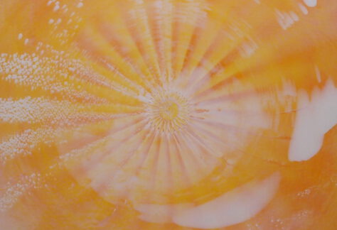 01 20251023 Orange Weiß