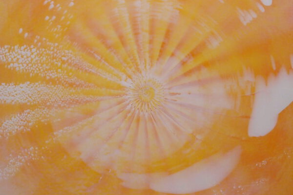 01_20251023 Orange Weiß