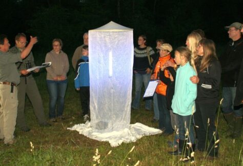 2026 04 14 Walter Sage