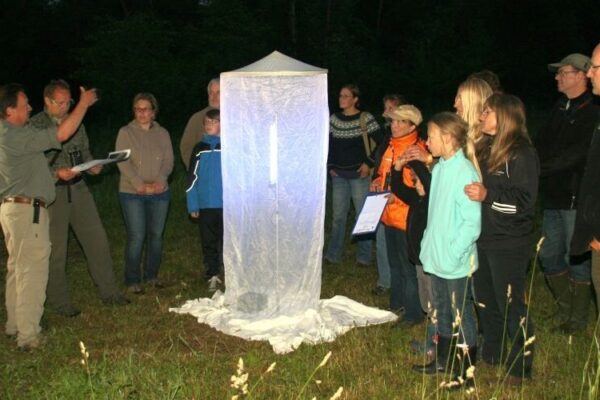 2026-04-14_Walter Sage