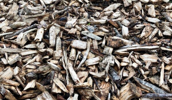 Häckselaktion Foto köx Häckselaktion der Stadt Burghausen