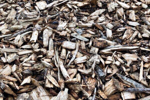 Häckselaktion Foto köx Häckselaktion der Stadt Burghausen