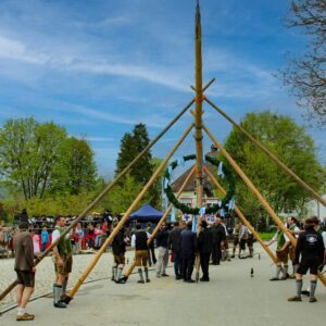 Maibaum Rai 4 ©M Schick