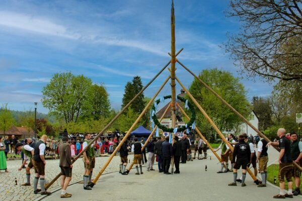 Maibaum Rai 4 ©M.Schick