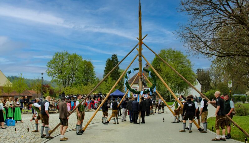 Maibaum Rai 4 ©M Schick