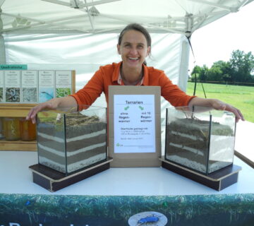 Walter mit Regenwurmterrarien Sommer 2013 auf einer Veranstaltung