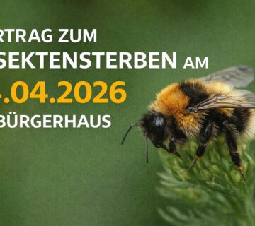 Inseketenexperte Walter Sage, Vorstandsmitglied der Zoologischen Gesellschaft Braunau, hält den informativen Vortrag 