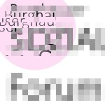 Burghauser Sozialforum: "Wenn die Chemie huset,ist die Region krank?!