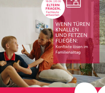 Web Coaching Konflikte