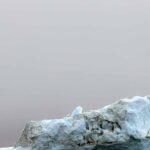 Arktis und Antarktis